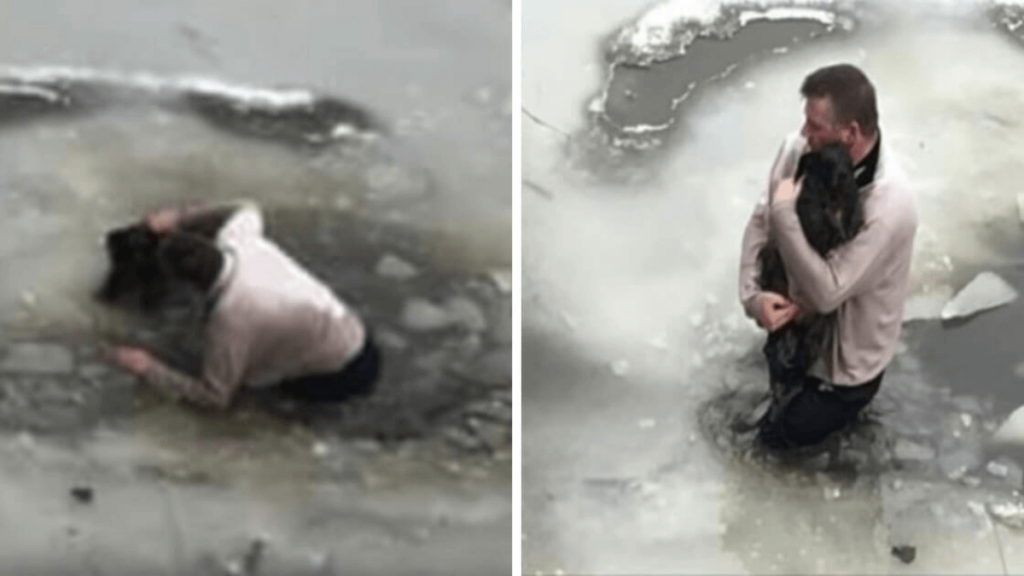 Man jumps into icy waters to save dog’s life G2altc