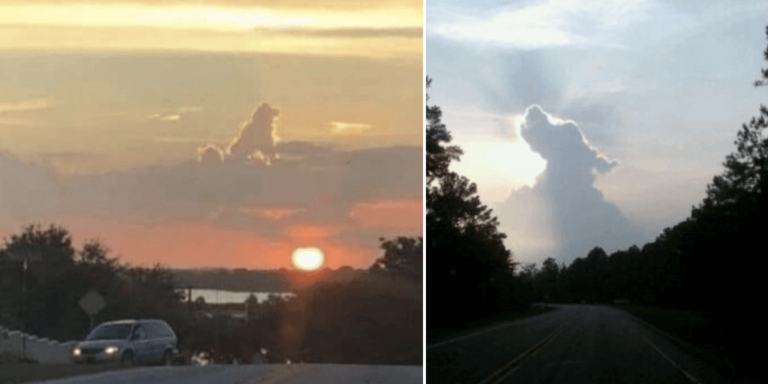 Dog-Shaped Cloud Proves That All Dogs Go to Heaven - G2a-ltc