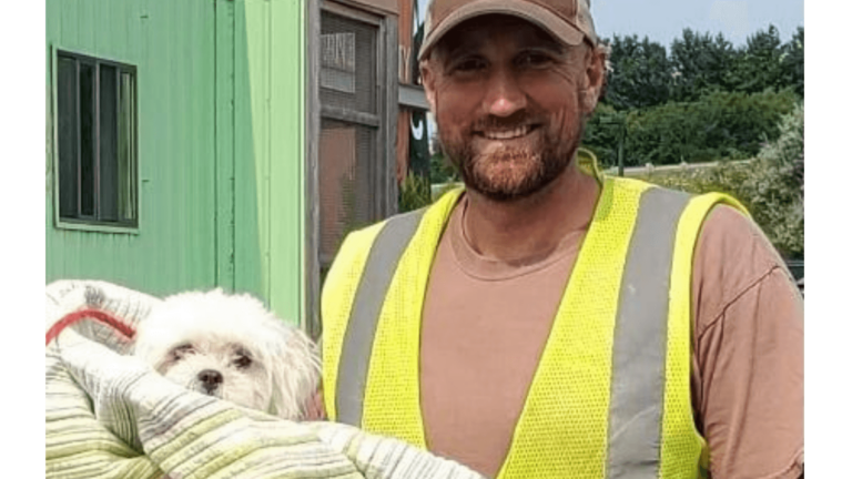 Garbage Truck Driver Finds Tiny Dog In Trash Collection Saves Her Life 